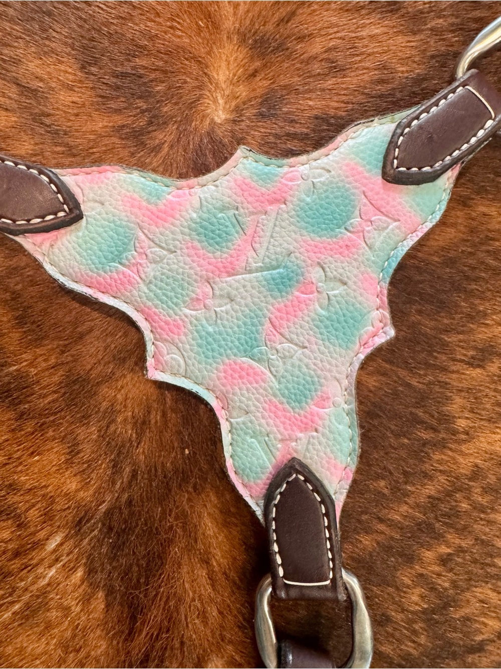 Custom Horse Breast Collar and Bridle Set